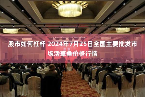 股市如何杠杆 2024年7月25日全国主要批发市场活草鱼价格行情