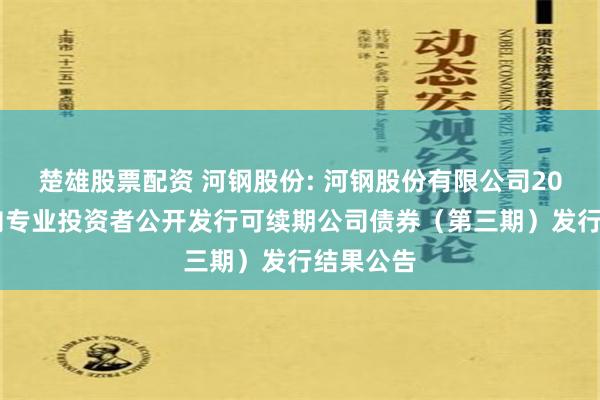 楚雄股票配资 河钢股份: 河钢股份有限公司2024年面向专业投资者公开发行可续期公司债券（第三期）发行结果公告