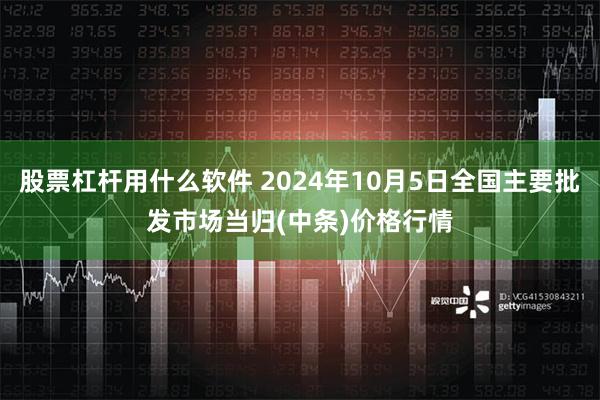 股票杠杆用什么软件 2024年10月5日全国主要批发市场当归(中条)价格行情