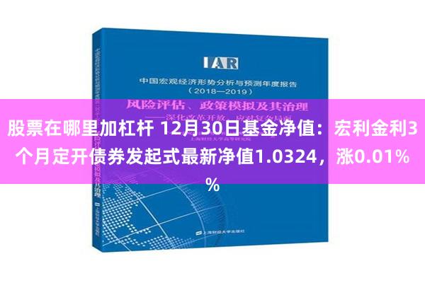 股票在哪里加杠杆 12月30日基金净值：宏利金利3个月定开债券发起式最新净值1.0324，涨0.01%